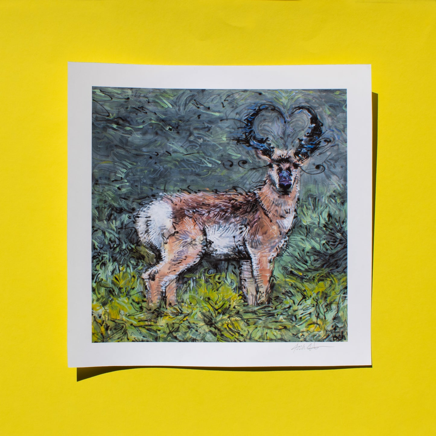 Pronghorn Print